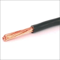 LAPP, H07V-K 1X6 ZW R100