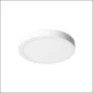  PROLUMIA PRO-CEILING D300X39MM OPB ND W