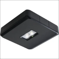 VAN LIEN, EVA-DWO/BT/ZWART