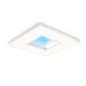  NATURECONN LP911P NC2 SKYLIGHT A W120L120