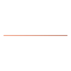 ZX1043 - 2CPX041909R9999