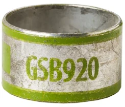 GSB920 - 7TAI029070R0038