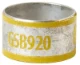 GSC1250 - 7TAI029070R0043