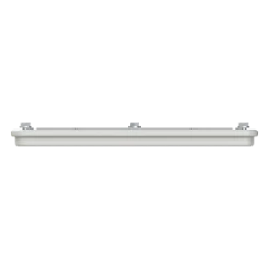 APEP31 - 4TBO856097C0100