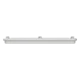 APEP31 - 4TBO856097C0100