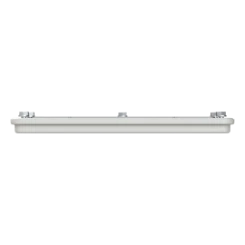 APEP35 - 4TBO856131C0100