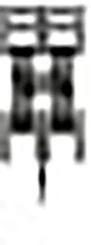 ZH55 - 2CPX038559R9999