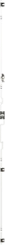 RZ18 - 2CPX047179R9999