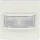 solo, Future linear, Carat