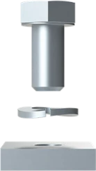VXXFWNJA - 4TBV855519C0100