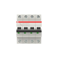 S204M-D1 - 2CDS274001R0011
