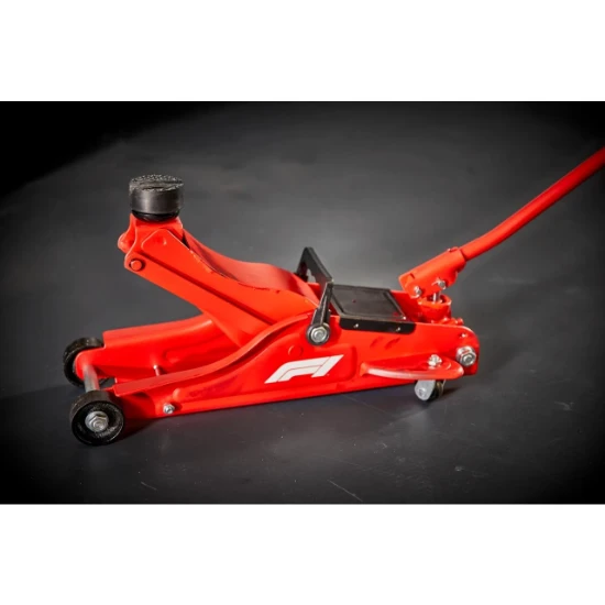 Formula 1 FJ250 Krik - 2T