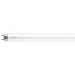 Philips LED Buislamp T8 1500mm 20W G13 CW ND 1CT/4