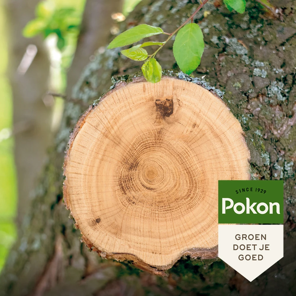 Pokon Wondafdekmiddel 300 gram