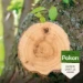 Pokon Wondafdekmiddel 300 gram