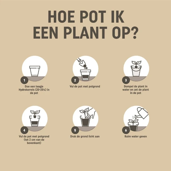 Pokon Bio Turfvrije Kamerplanten Potgrond 10L