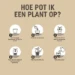Pokon Bio Turfvrije Kamerplanten Potgrond 10L