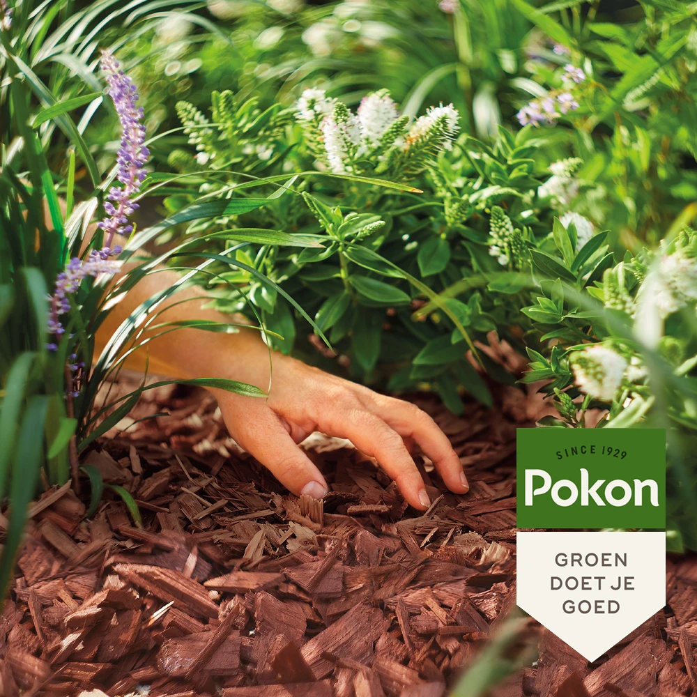 Pokon Houtsnippers Cacaobruin 45L
