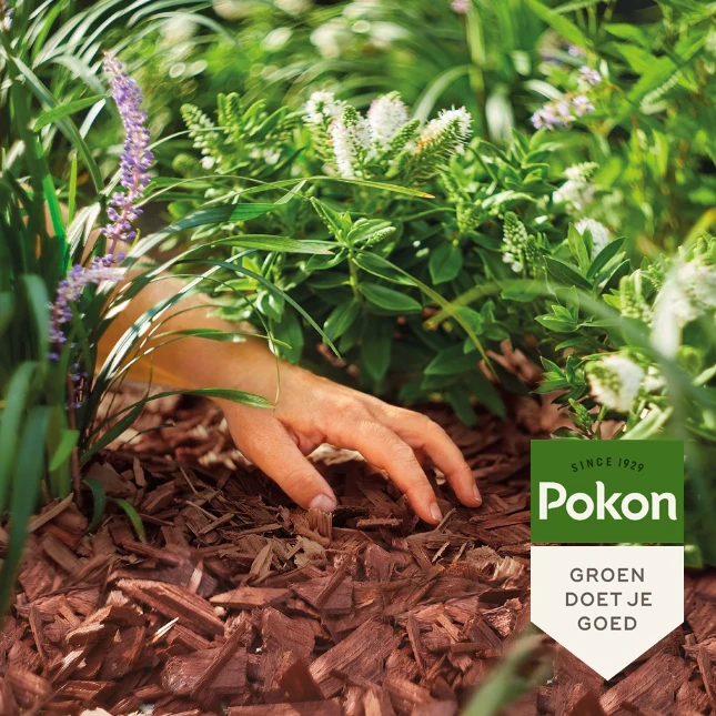 Pokon Houtsnippers Cacaobruin 45L