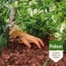 Pokon Houtsnippers Cacaobruin 45L