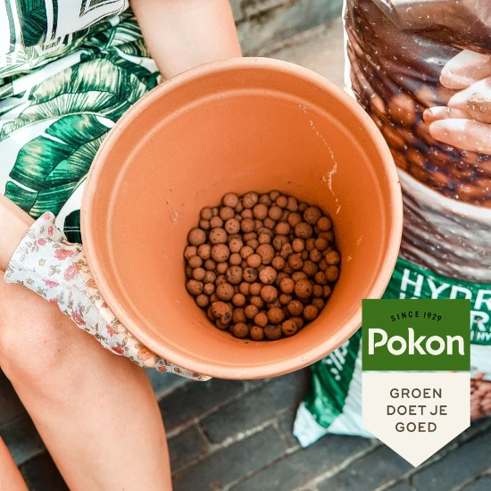 Pokon Hydrokorrels 20L