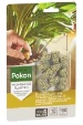Pokon Kamerplanten Voedingskegels (10 stuks)