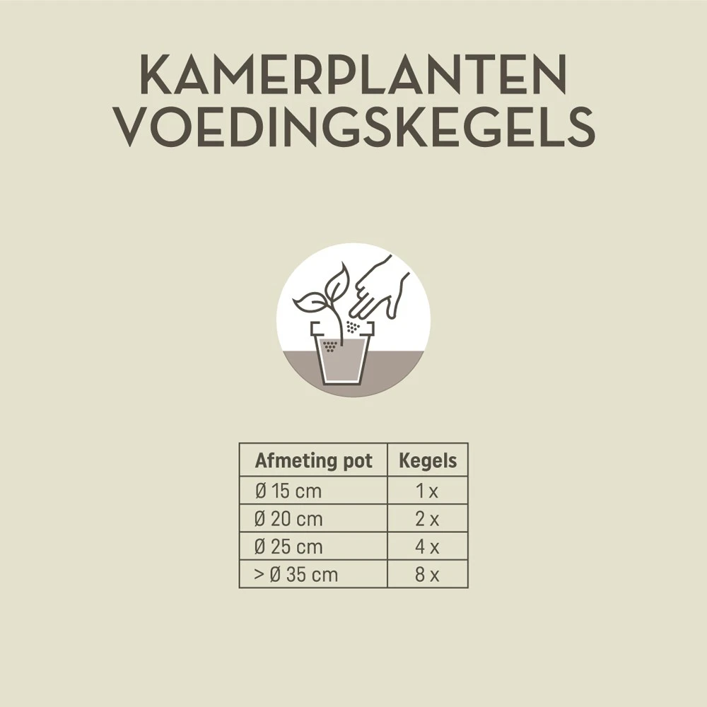 Pokon Kamerplanten Voedingskegels (10 stuks)