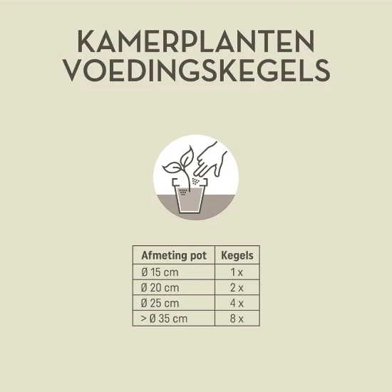 Pokon Kamerplanten Voedingskegels (10 stuks)