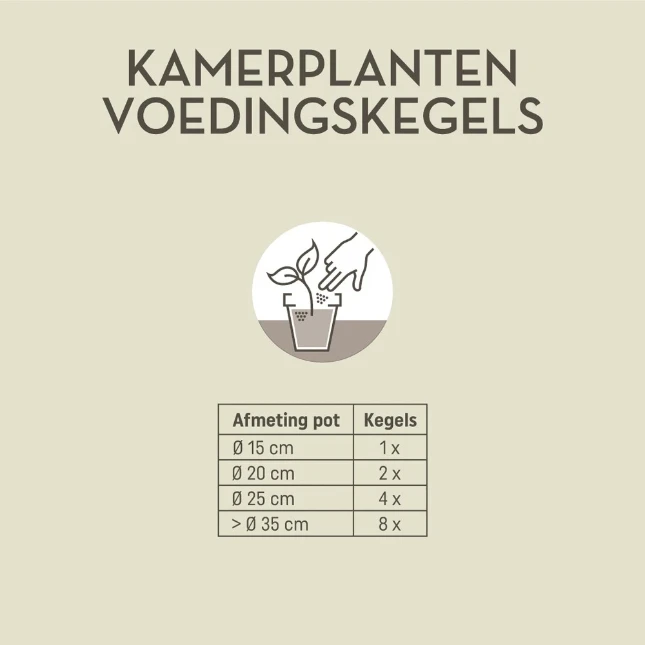Pokon Kamerplanten Voedingskegels (10 stuks)