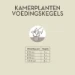Pokon Kamerplanten Voedingskegels (10 stuks)