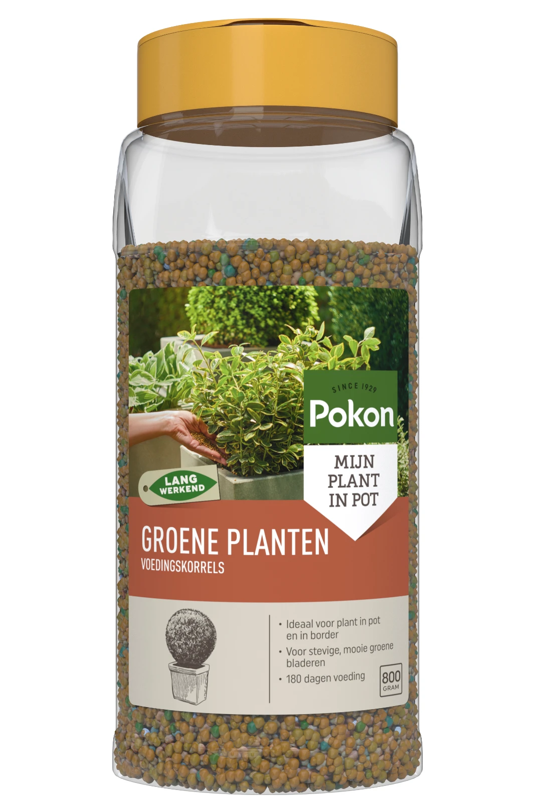 Pokon Groene Planten Voedingskorrels 800 gram
