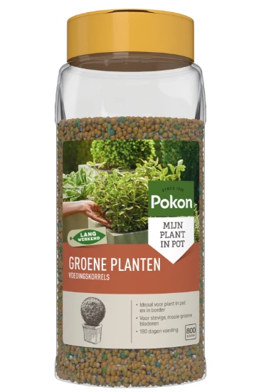 Pokon Groene Planten Voedingskorrels 800 gram