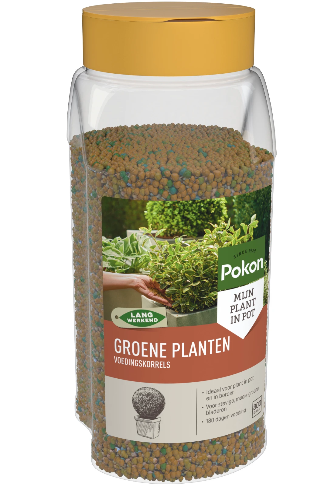 Pokon Groene Planten Voedingskorrels 800 gram