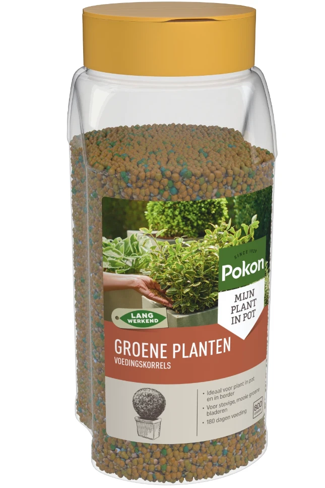 Pokon Groene Planten Voedingskorrels 800 gram