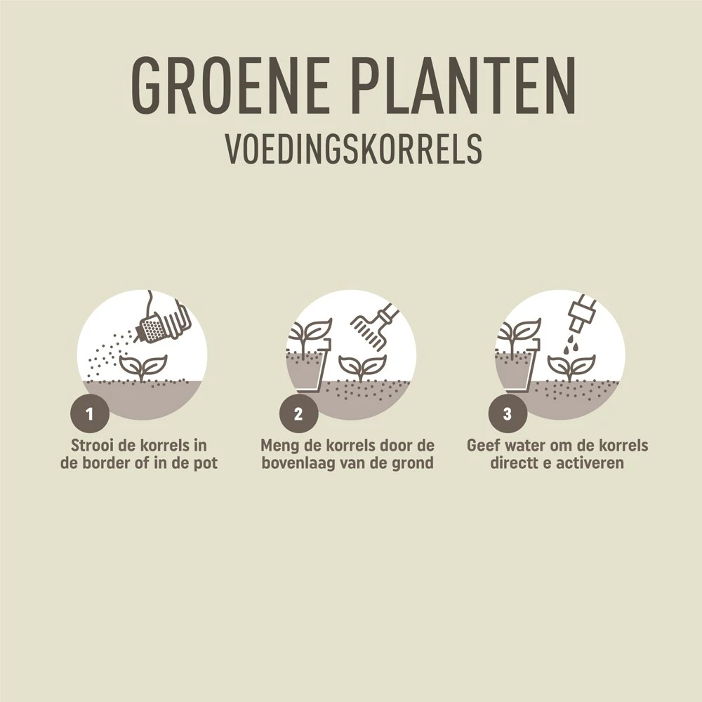 Pokon Groene Planten Voedingskorrels 800 gram
