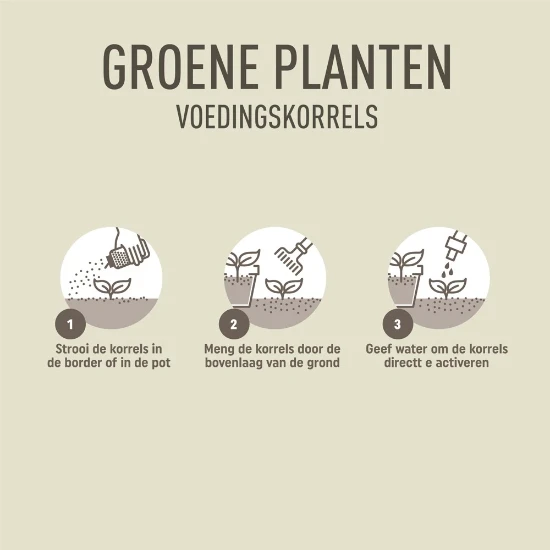 Pokon Groene Planten Voedingskorrels 800 gram