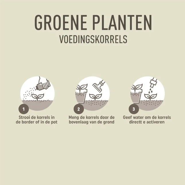 Pokon Groene Planten Voedingskorrels 800 gram