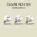 Pokon Groene Planten Voedingskorrels 800 gram