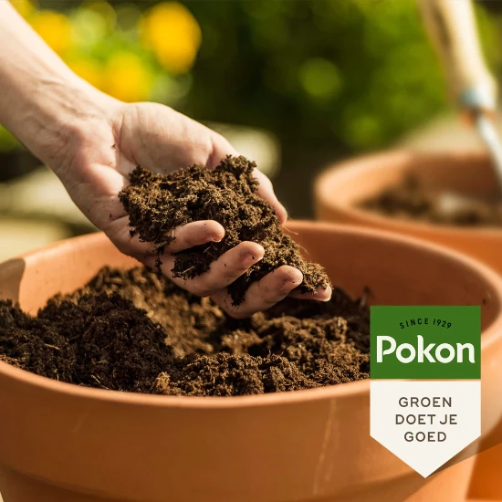 Pokon Bio MPS RHP Potgrond 10L