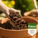 Pokon Bio MPS RHP Potgrond 10L