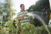 Hozelock Pistoolbroes Multi-Spray Plus