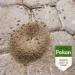Pokon Tegen Mieren poeder 250 gram