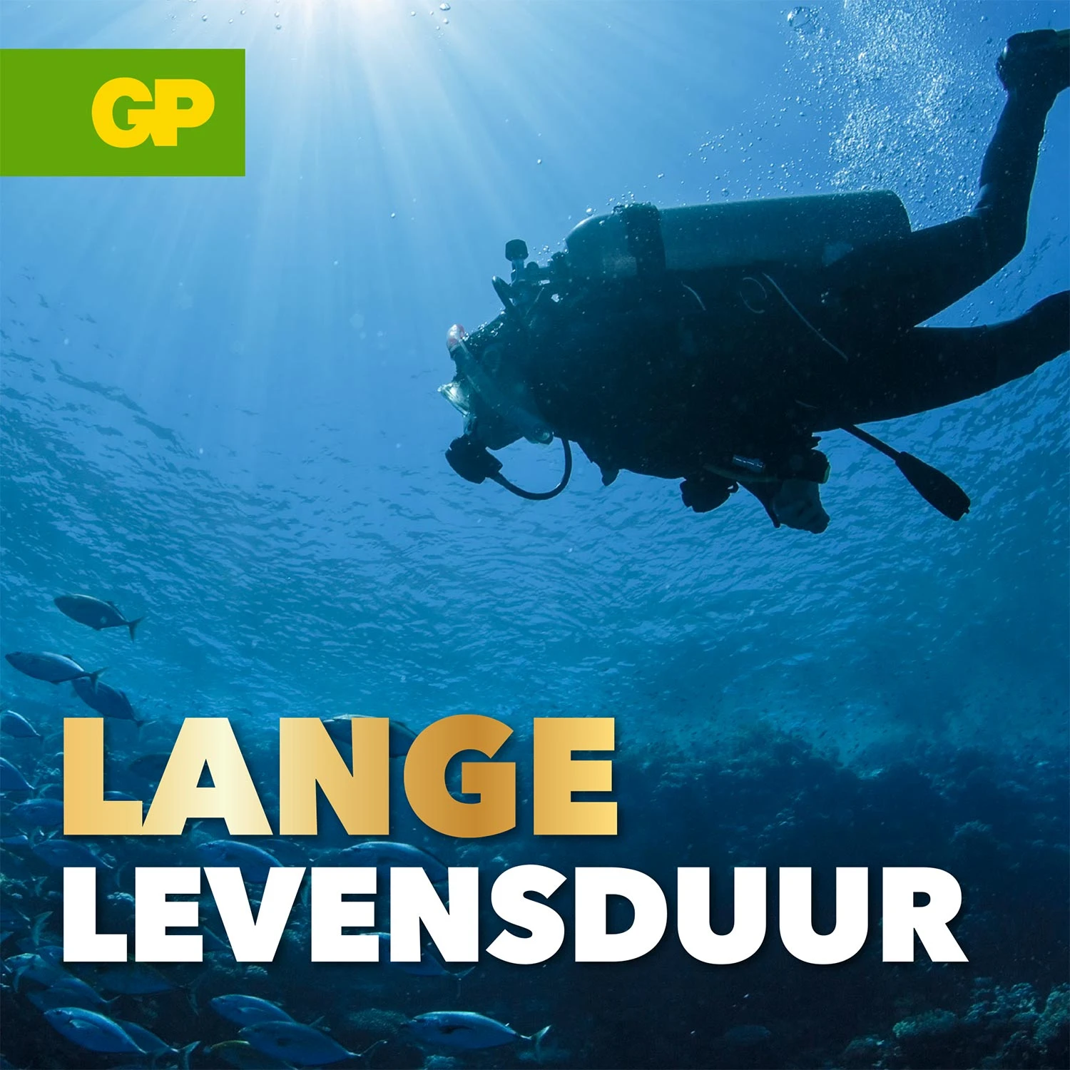GP CR2354 Lithium knoopcel 3V (1 stuk)