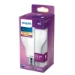 Philips LED Lamp Classic 150W E27 A67 WW FR NDRF