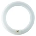 Philips TL-E buis rond22W-840 1CT-12