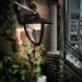 Philips Buitenwandlamp Robin 1x4.5W 230V zwart