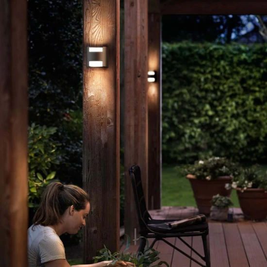 Philips Buitenwandlamp Grass 2x4.5W SEL antraciet