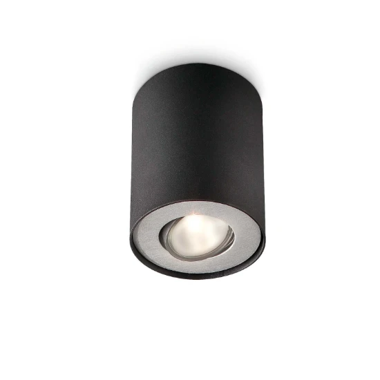 Philips Opbouwspot Pillar 20W zwart
