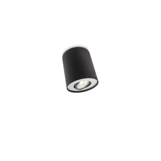Philips Opbouwspot Pillar 20W zwart