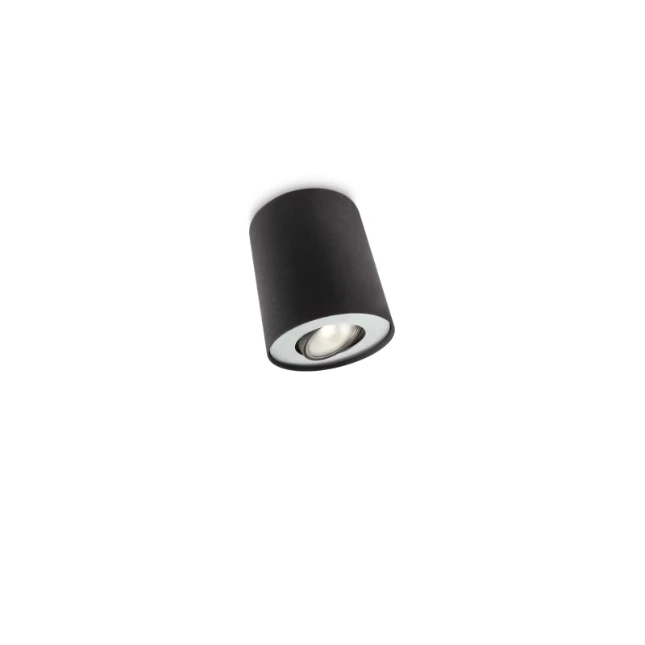 Philips Opbouwspot Pillar 20W zwart